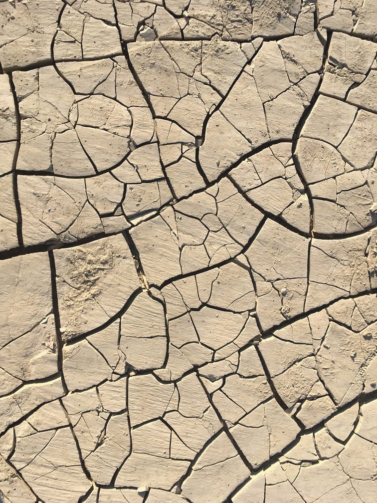 Image représentant la sécheresse buccale avec un sol craquelé et sec.