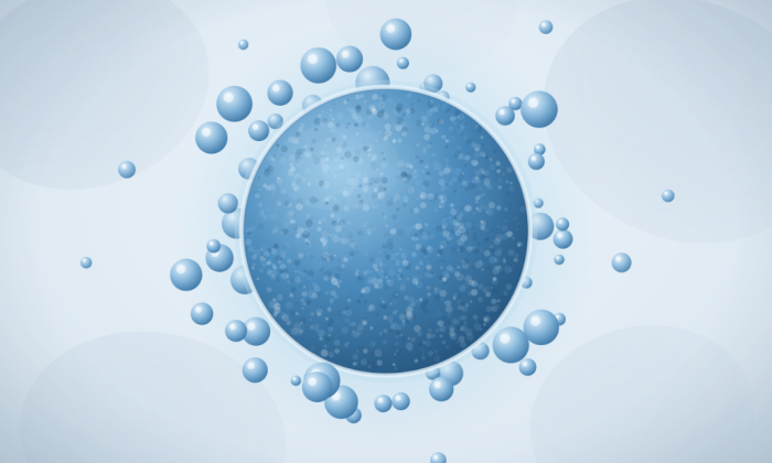 Illustration d'une cellule libérant des exosomes, de minuscules paquets porteurs de signaux